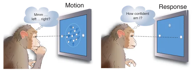 Decisions as a Window on Cognition - The Neural Building Blocks of Thought
