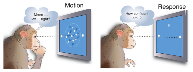 Decisions as a Window on Cognition - The Neural Building Blocks of Thought